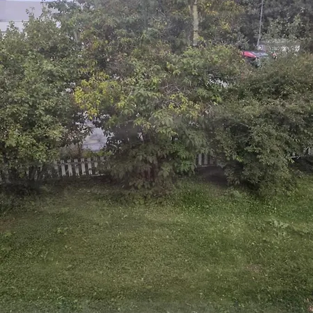 B - Single Bedroom - - Shared With Others - Not Private - Bed & Breakfast *