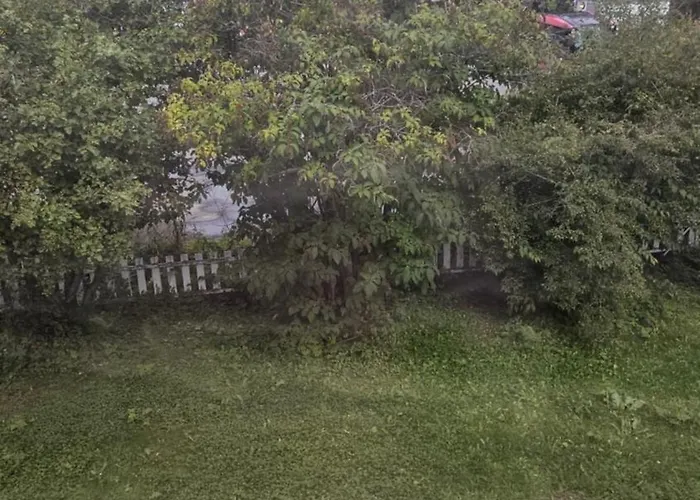 B - Single Bedroom - - Shared With Others - Not Private - Bed & Breakfast *